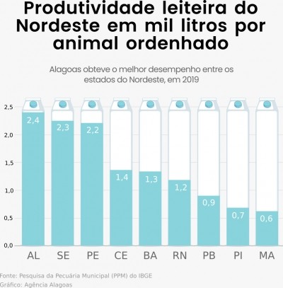 Alagoas supera média nacional e tem a maior produtividade leiteira do Nordeste
